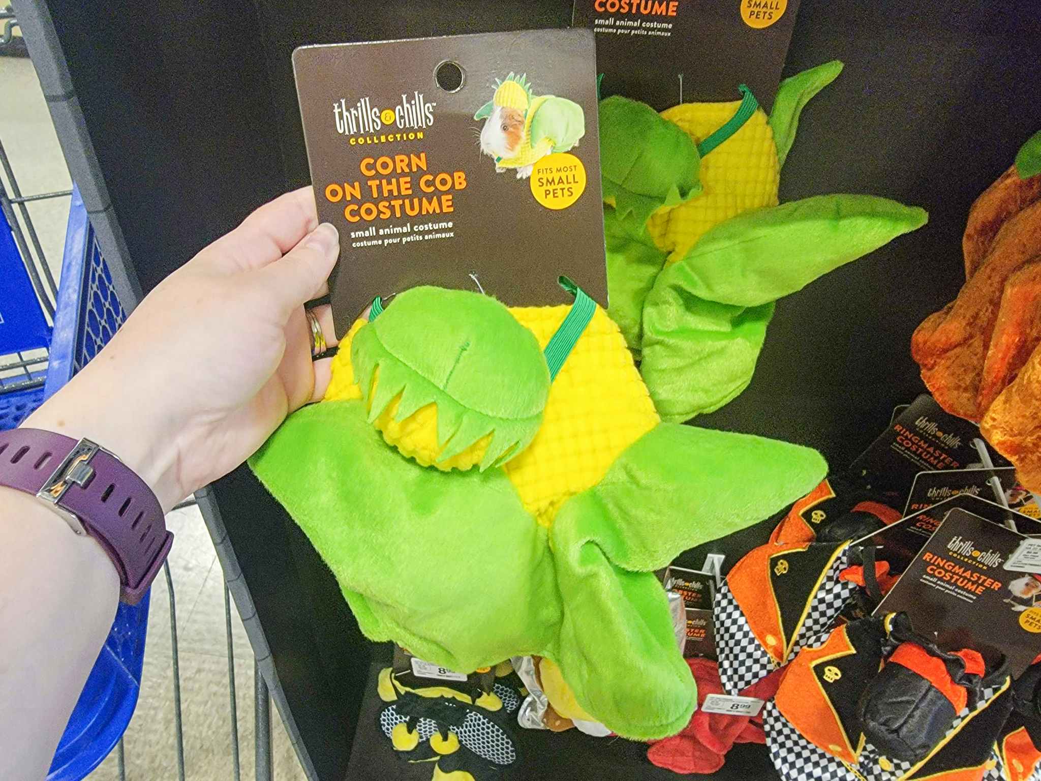 hand holding a corn on the cob costume for small pets