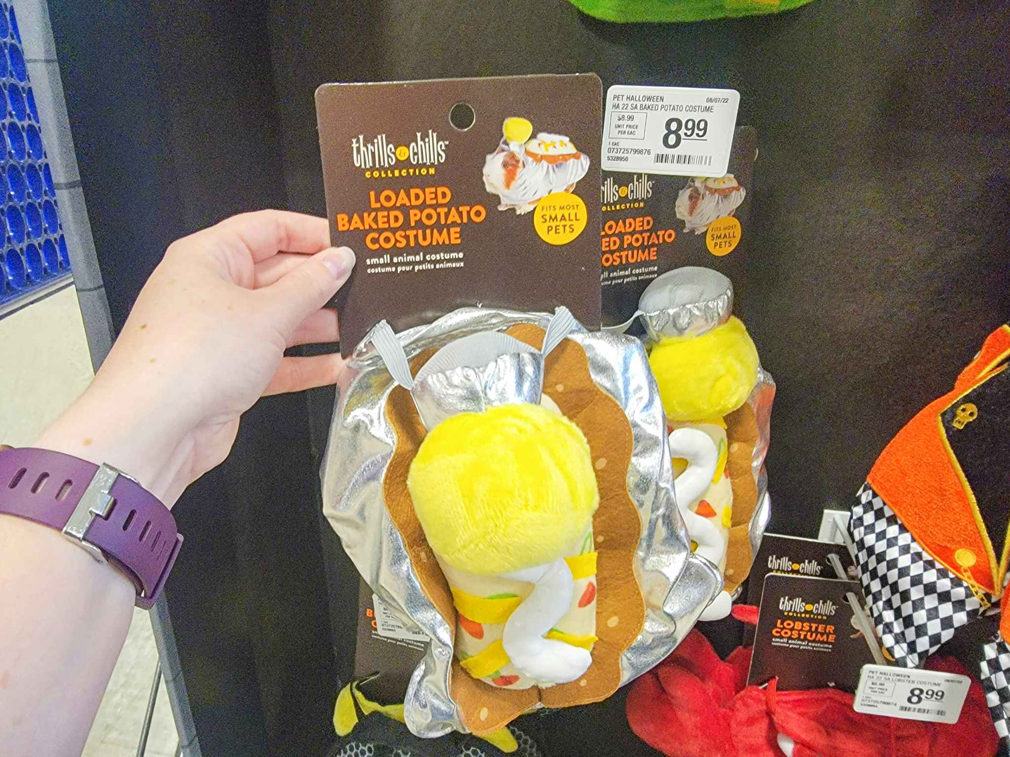 hand holding a loaded baked potato costume for small pets