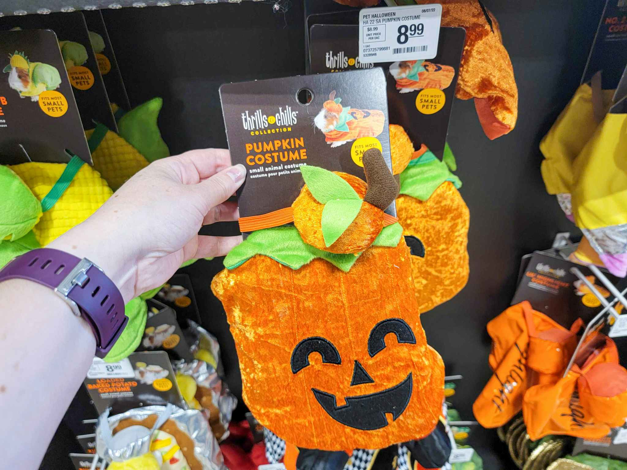 hand holding a pumpkin costume for small pets