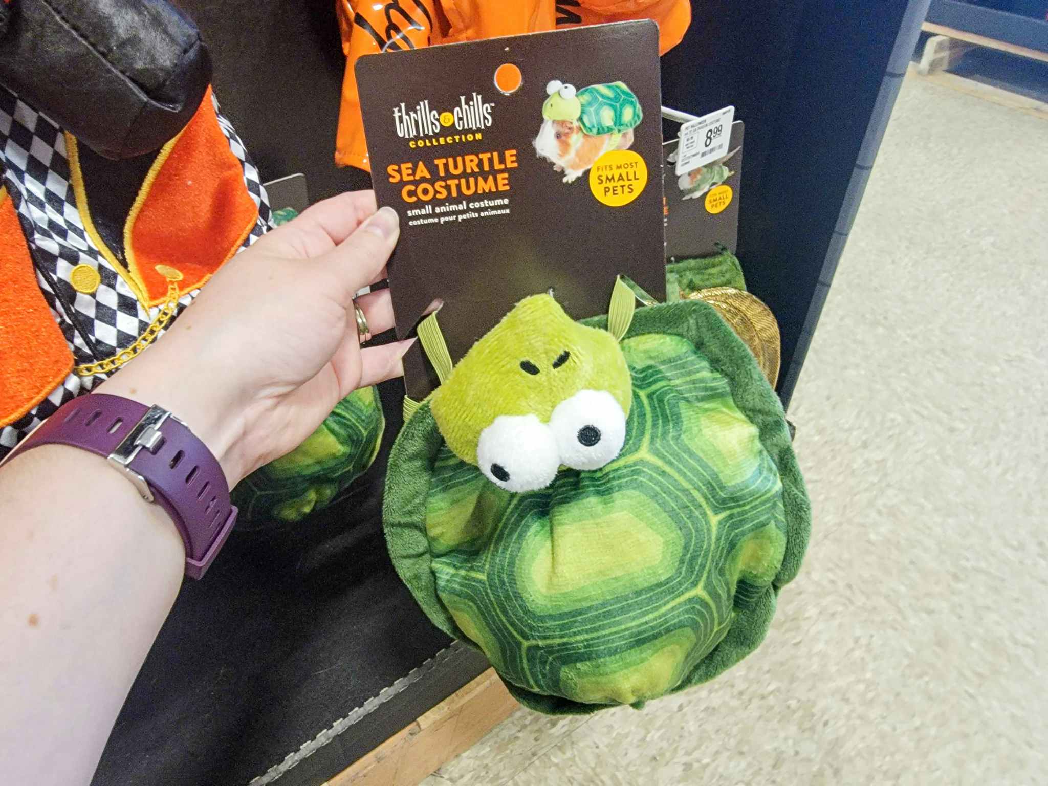 hand holding a turtle costume for small pets