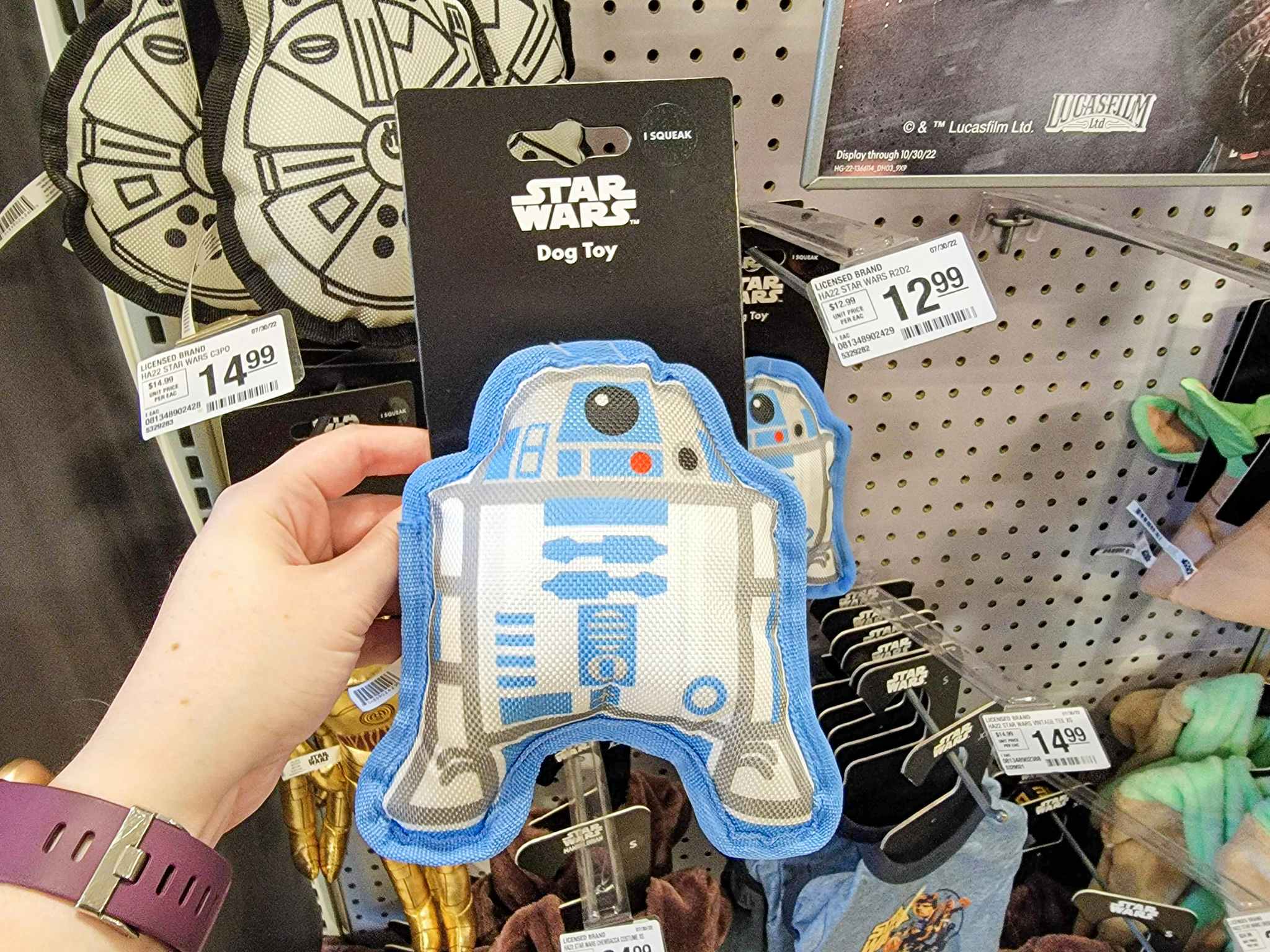 hand holding an r2d2 dog toy