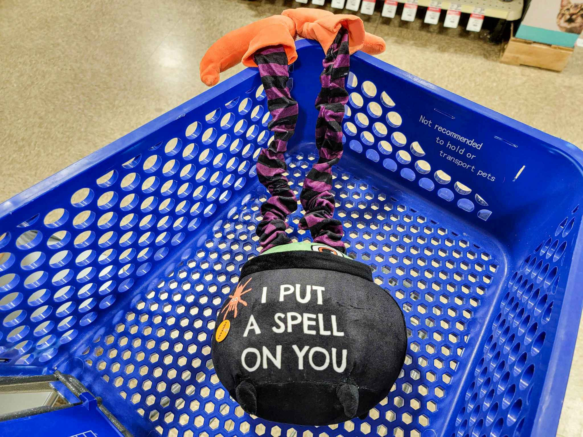 a black cauldron says i put a spell on you with witches feet sticking out dog toy in a cart