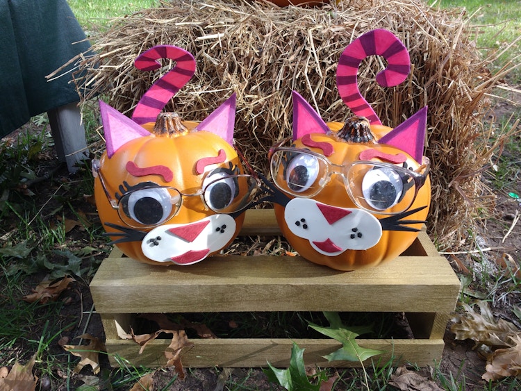 decorated pumpkins dreamstime