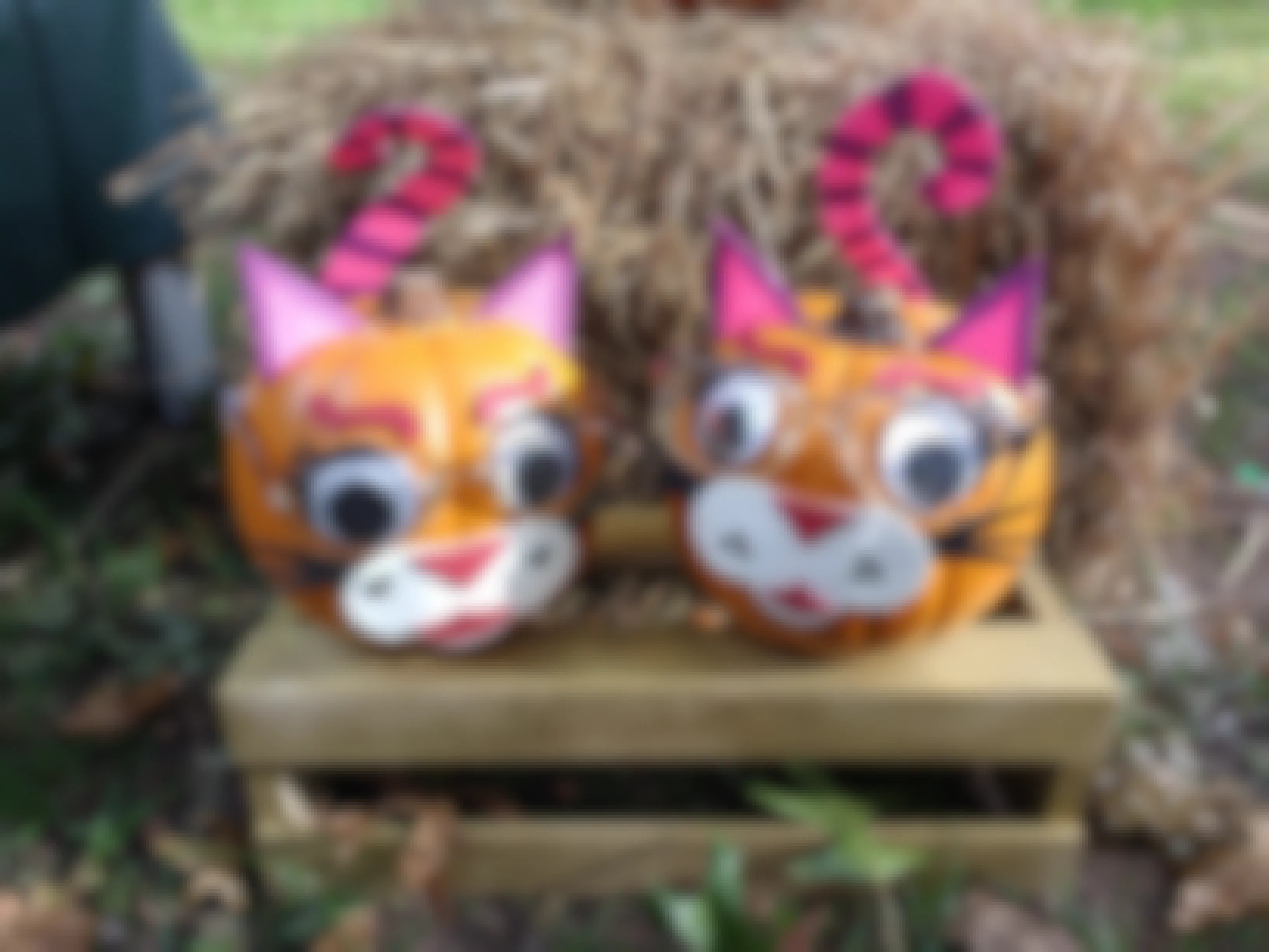two pumpkins decorated like cats with glasses
