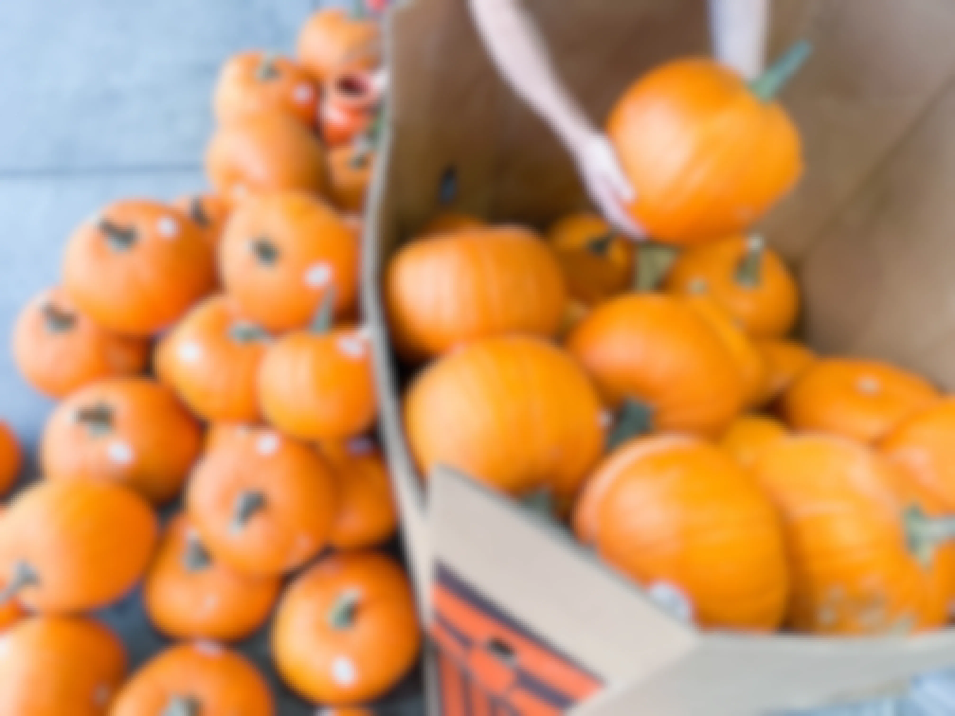 a huge pile of pumpkins inside and outside an outside grocery store pumpkin box