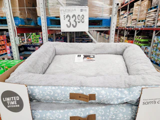 large bolster style dog bed