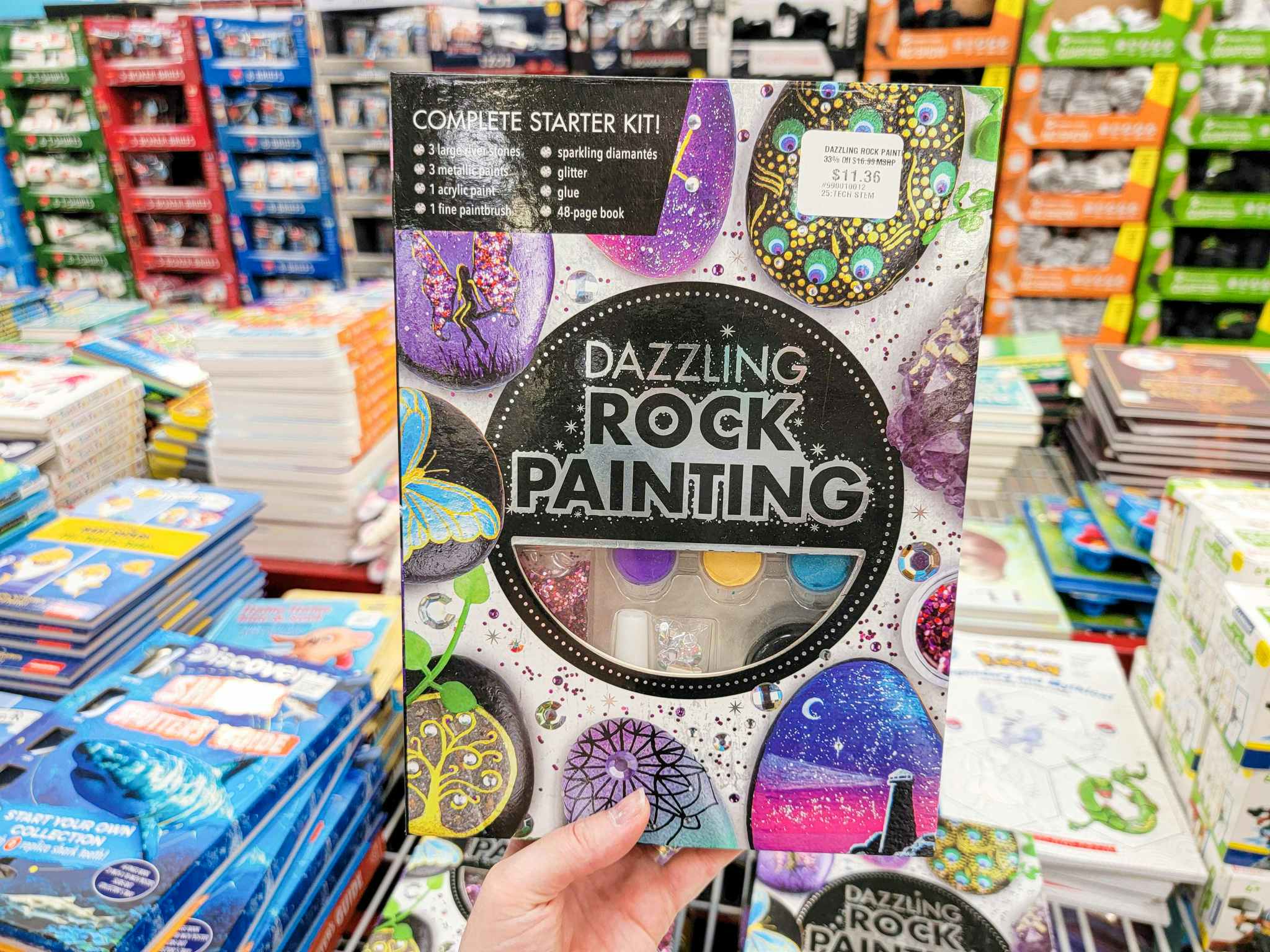 hand holding a rock painting kit