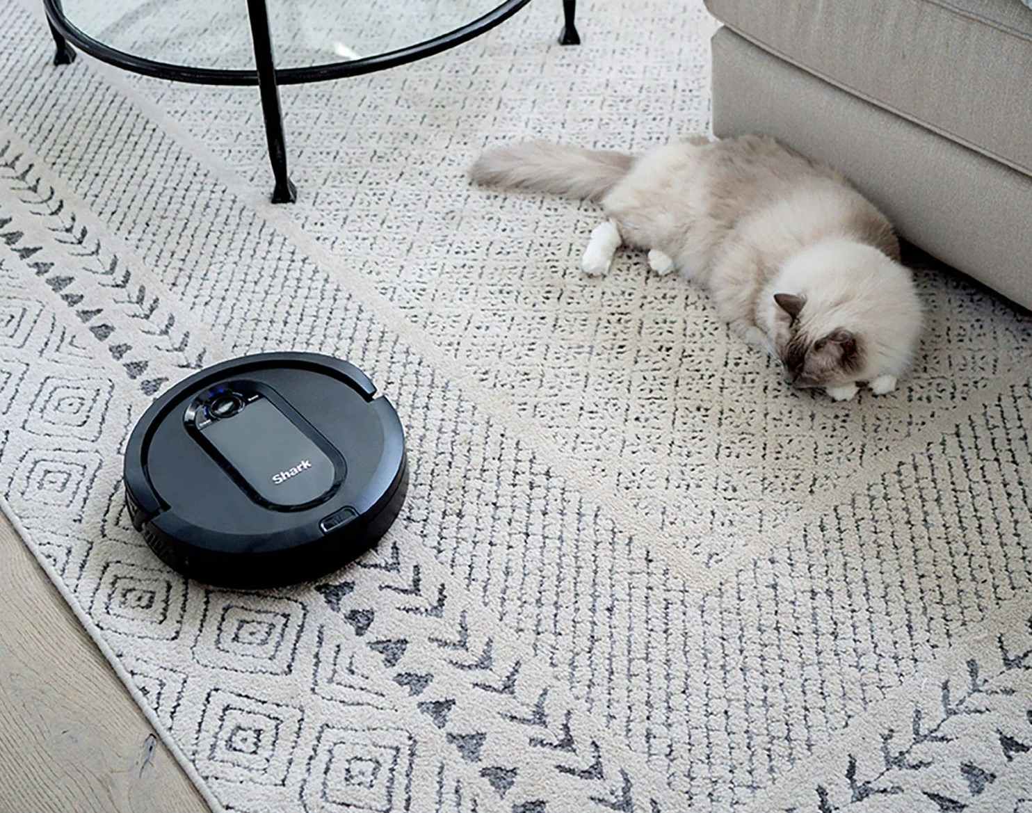 a shark robot vacuum running over a rug near a cat laying down
