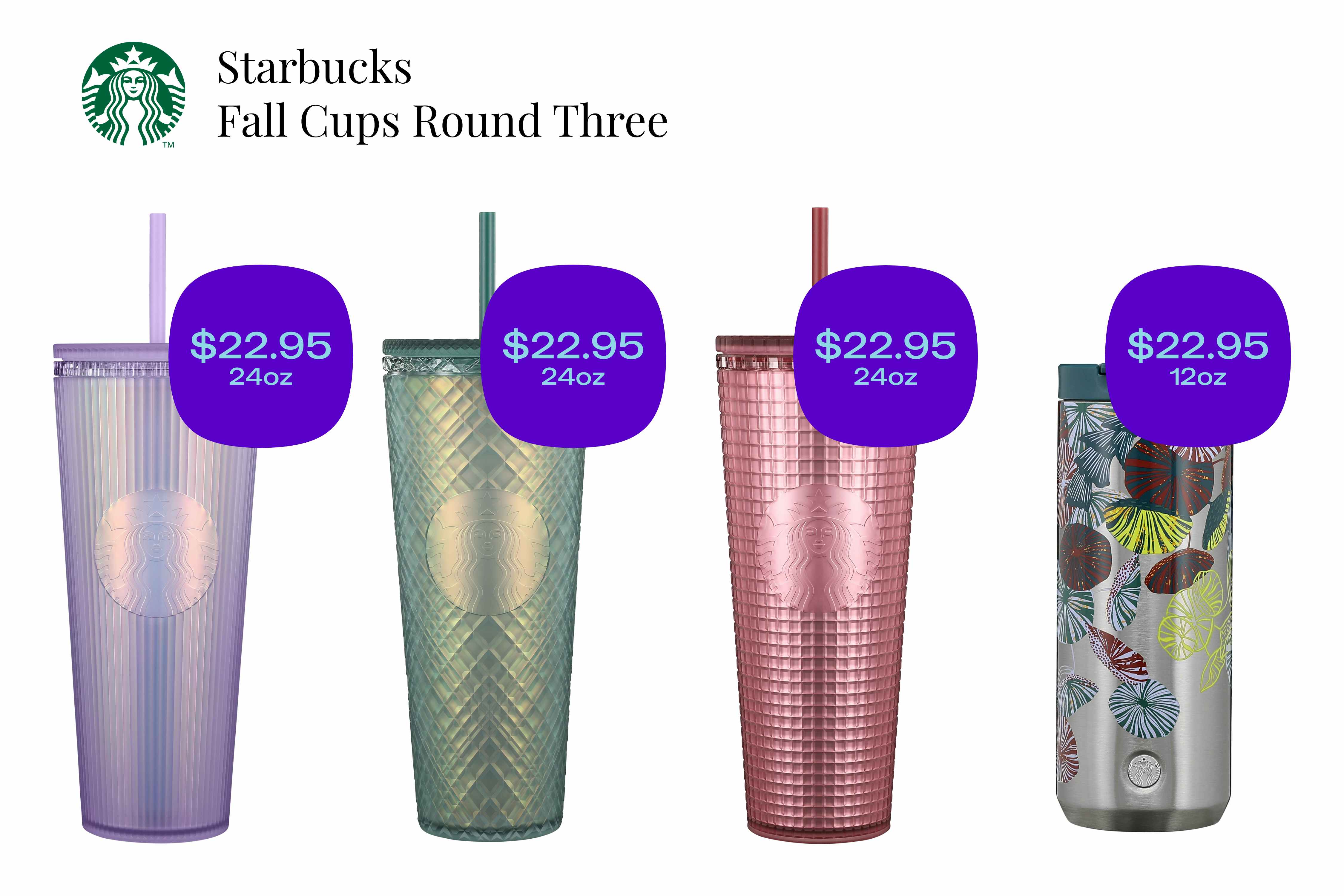 Starbucks Fall Cups Round 3 graphic.