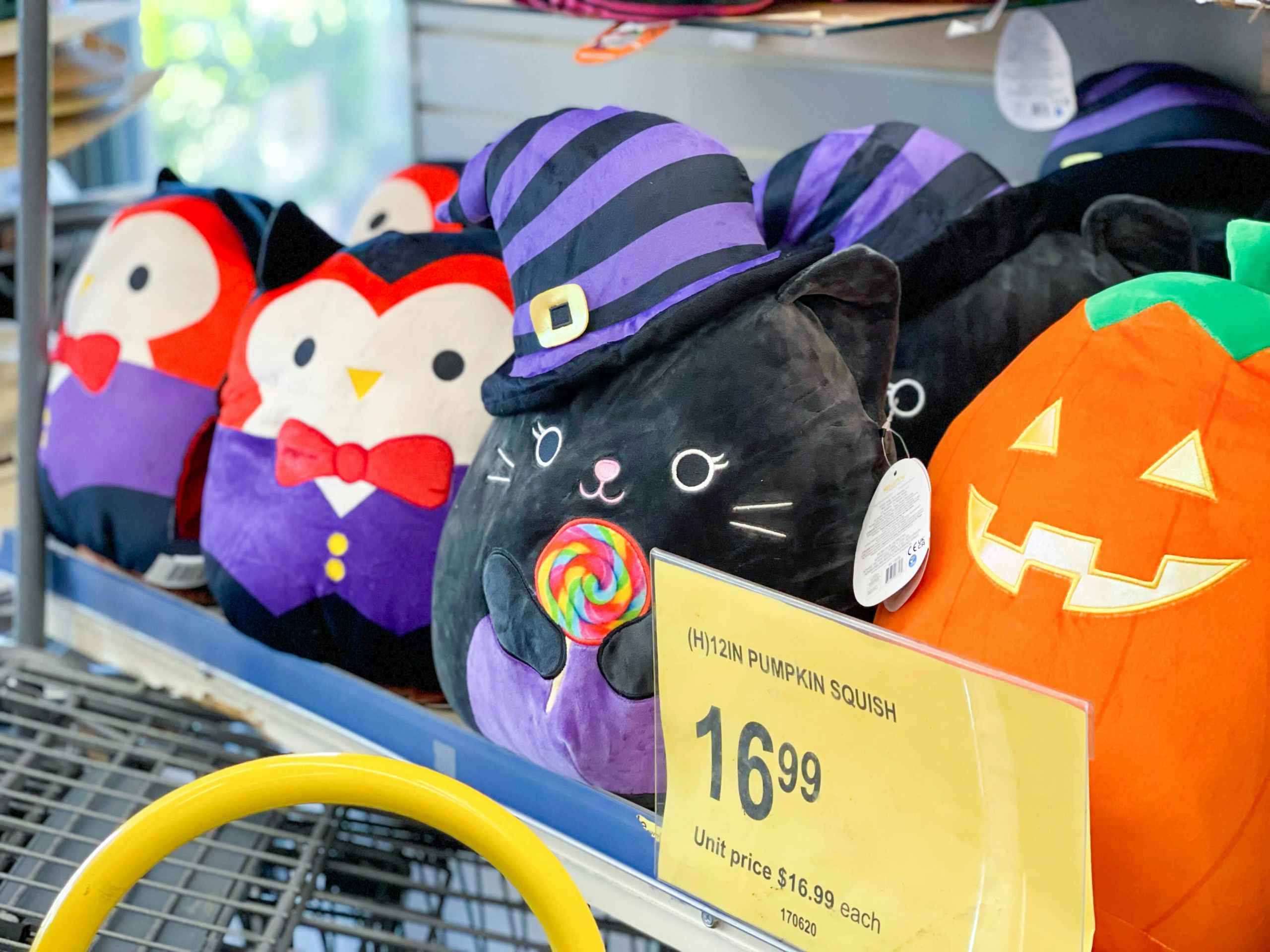 shelf with vamp to wolf, Autumn the witch cat, and Saul the pumpkin Squishmallows with price tag in front