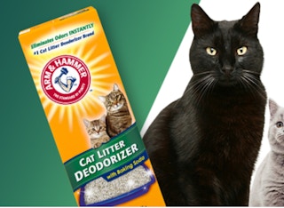 amazon arm hammer cat litter deodorizer 2022 1666032717 1666032718