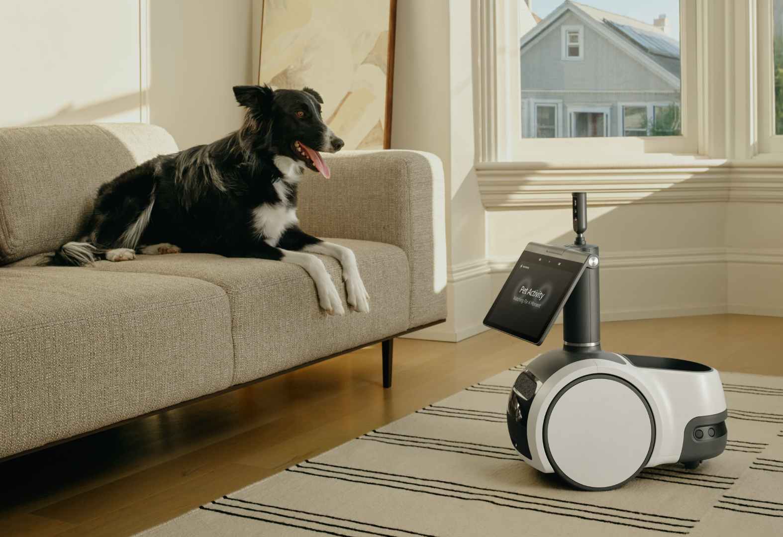 A dog laying on a couch next to an Amazon Astro device on the floor.