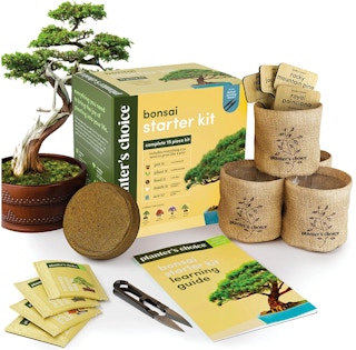 amazon bonsai starter kit 2022 1 1664630369 1664630369