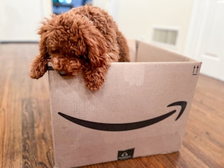 amazon box dog pet 2022 03 1665777331 1665777331