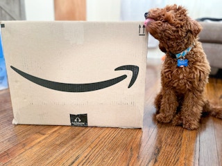 amazon box dog pet 2022 04 1665777342 1665777342