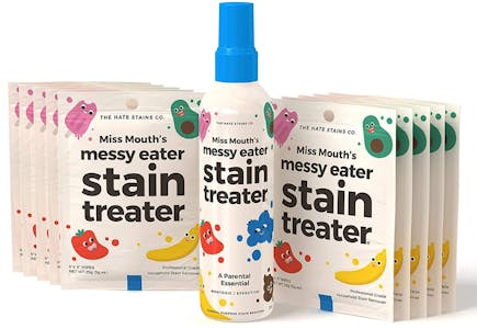 Stain Remover Spray and Wipes