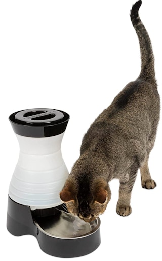 amazon pet water fountain 2022 3 1665838774 1665838774 425x686