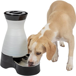 amazon pet water station 2022 2 1665838652 1665838652