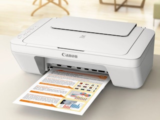 best budget printer: Canon PIXMA MG2522 Wired All-in-One Color Inkjet Printer
