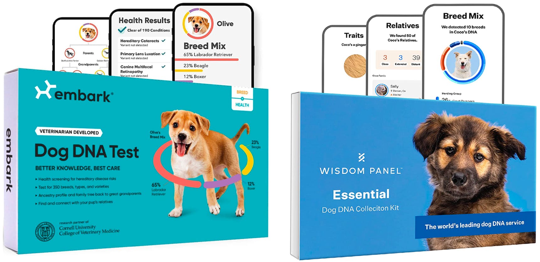 what are the best dog dna tests