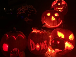 Group of carved pumpkins
