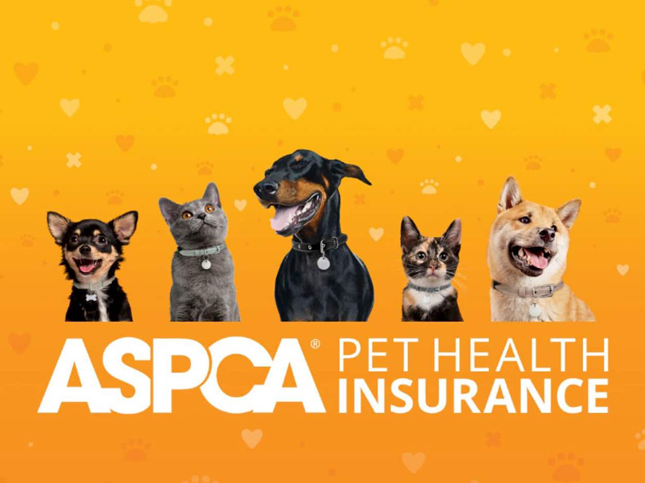 aspca pet health insurance graphic