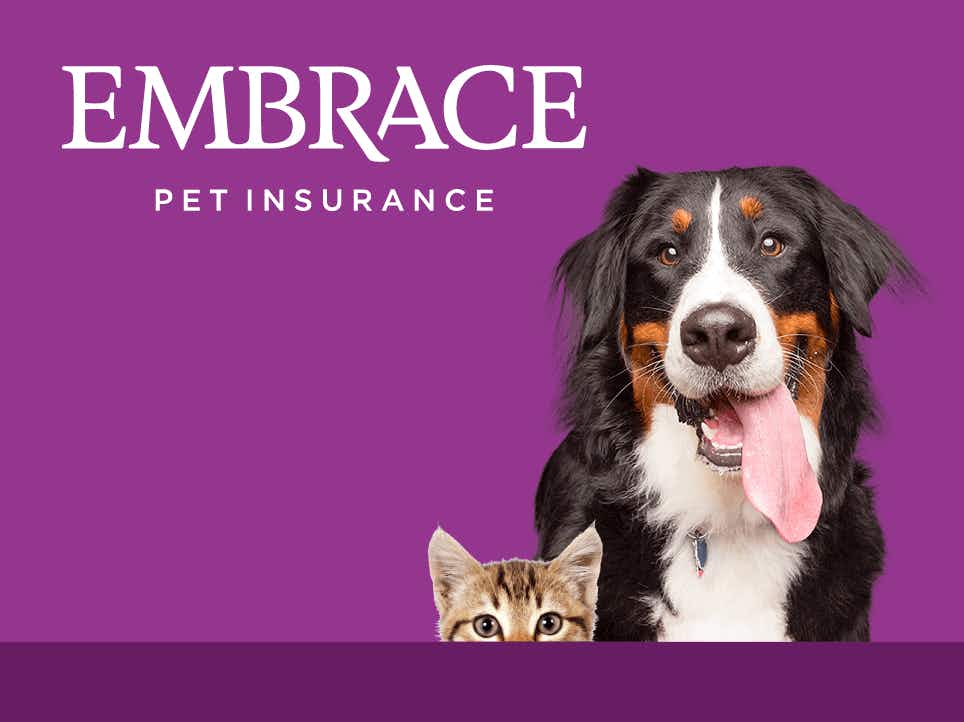 embrace pet health insurance graphic