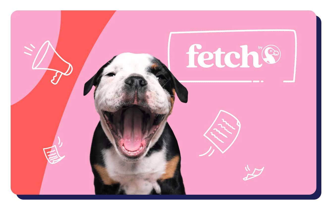 fetch pet health insurance graphic