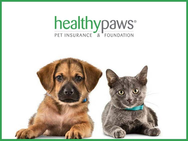 healthy paws pet health insurance graphic