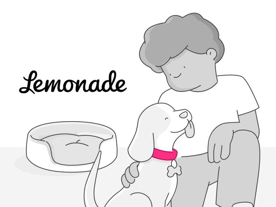 lemonade pet health insurance graphic