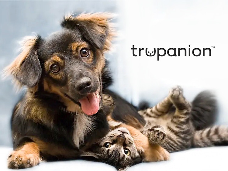 trupanion pet health insurance graphic