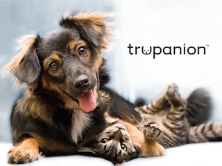 trupanion pet health insurance graphic