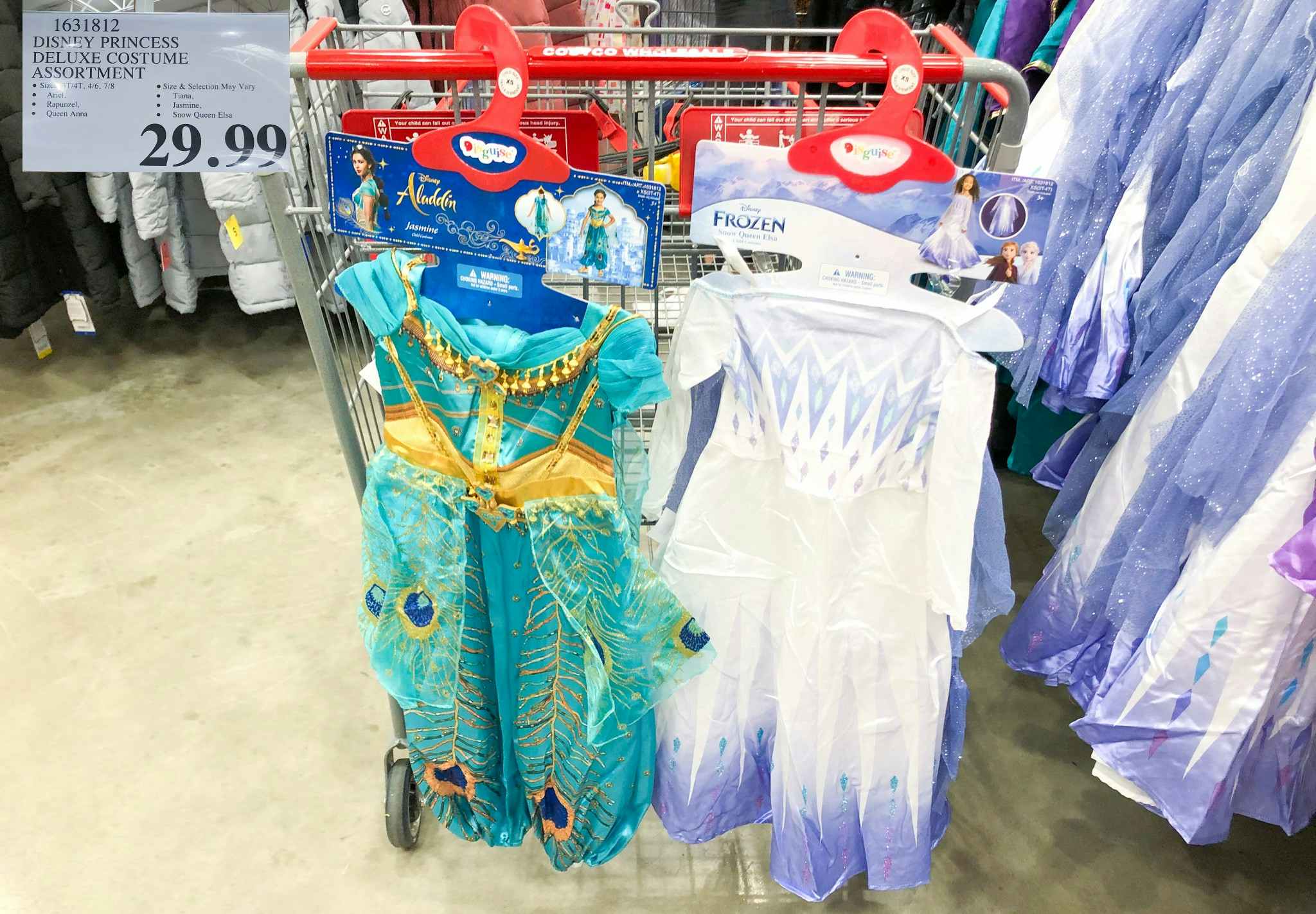 disney princess costumes at costco