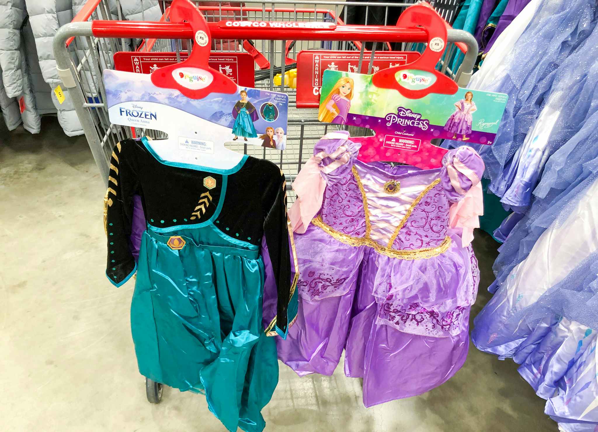 disney princess costumes at costco