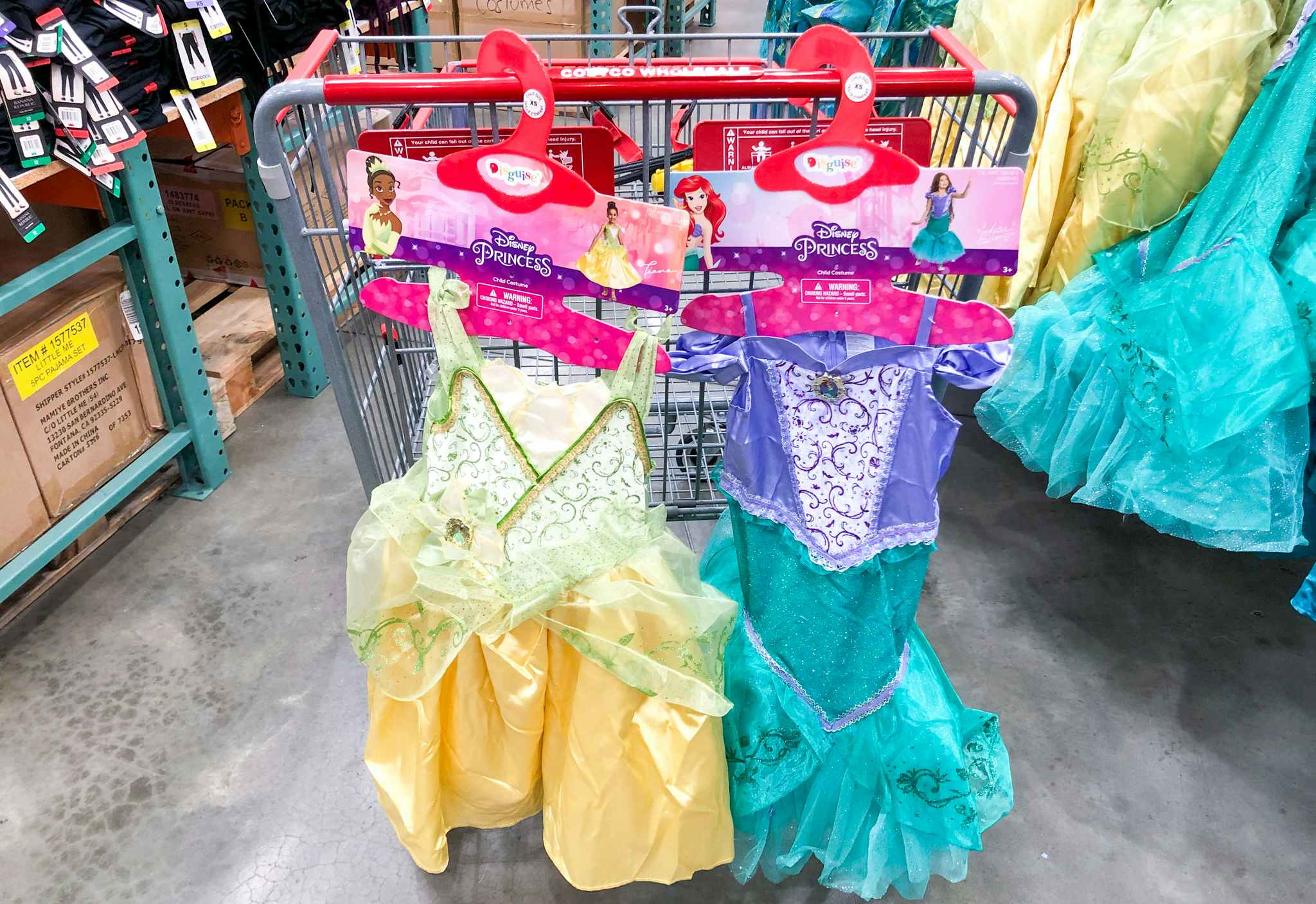 disney princess costumes at costco