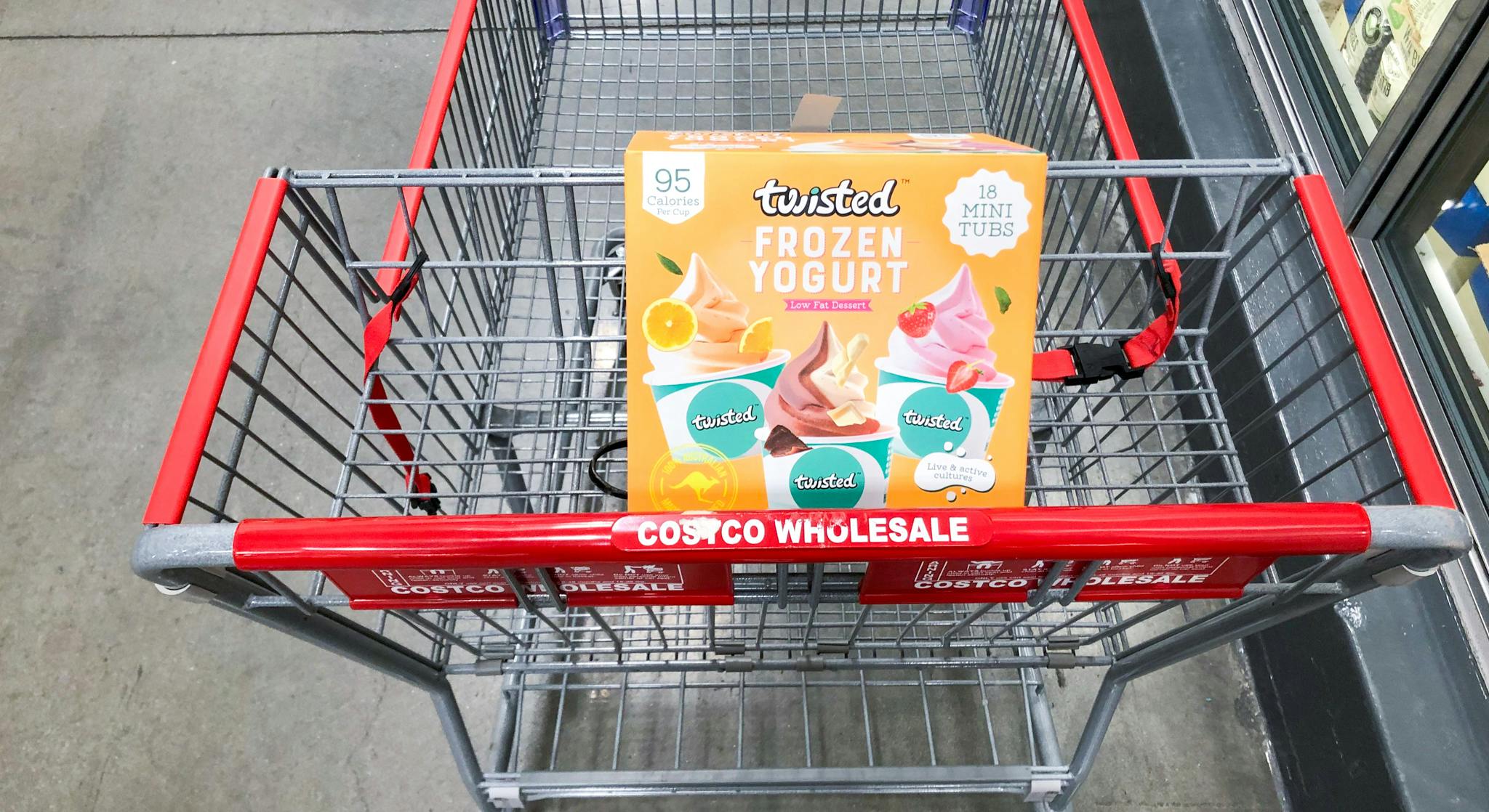 Twisted Frozen Yogurt Multipack, Only 14.99 at Costco The Krazy