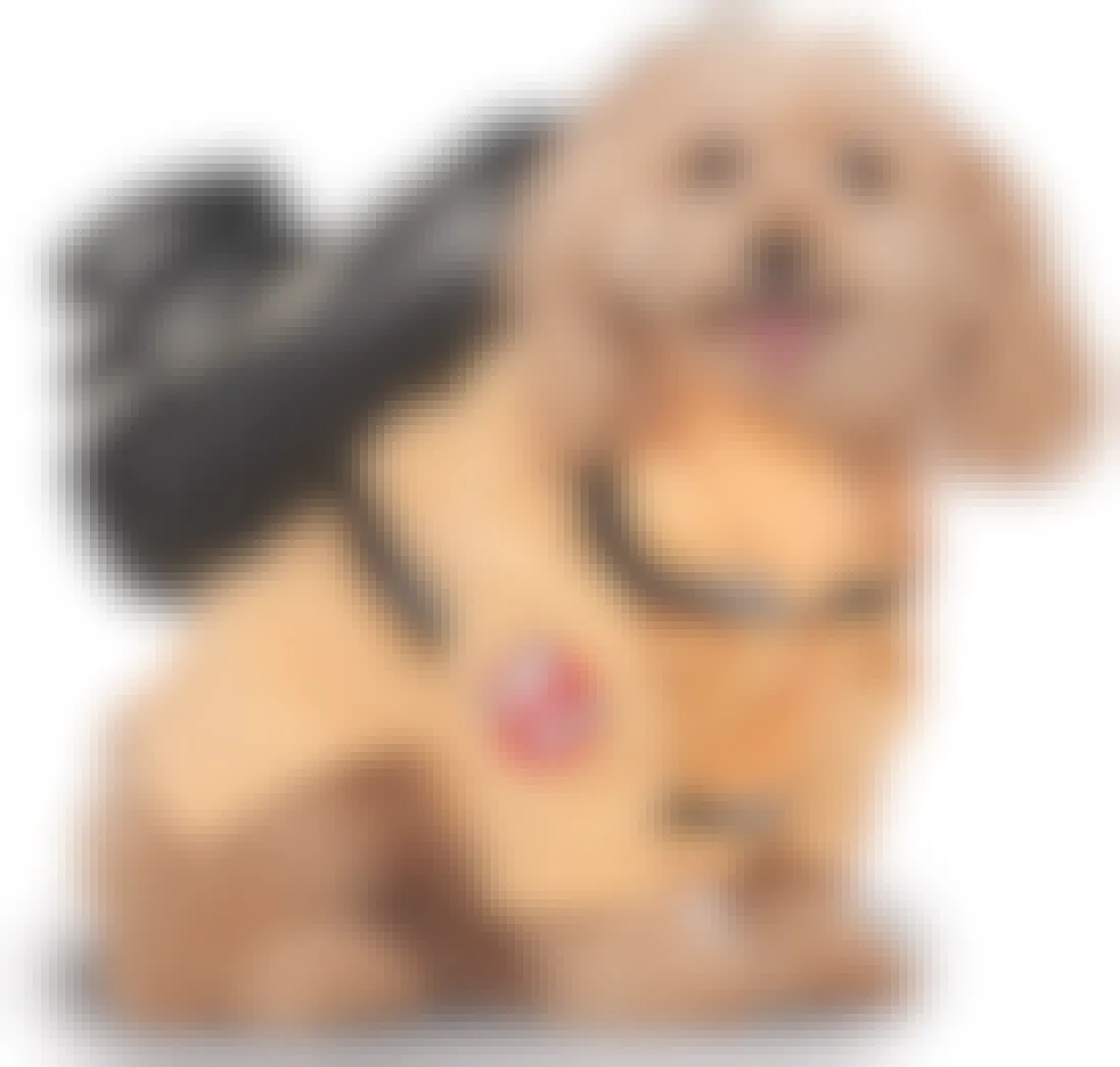 A dog wearing a ghostbusters costume on a white background
