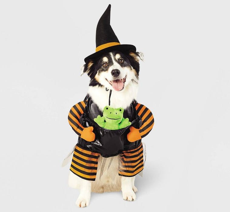 devil dog costume target