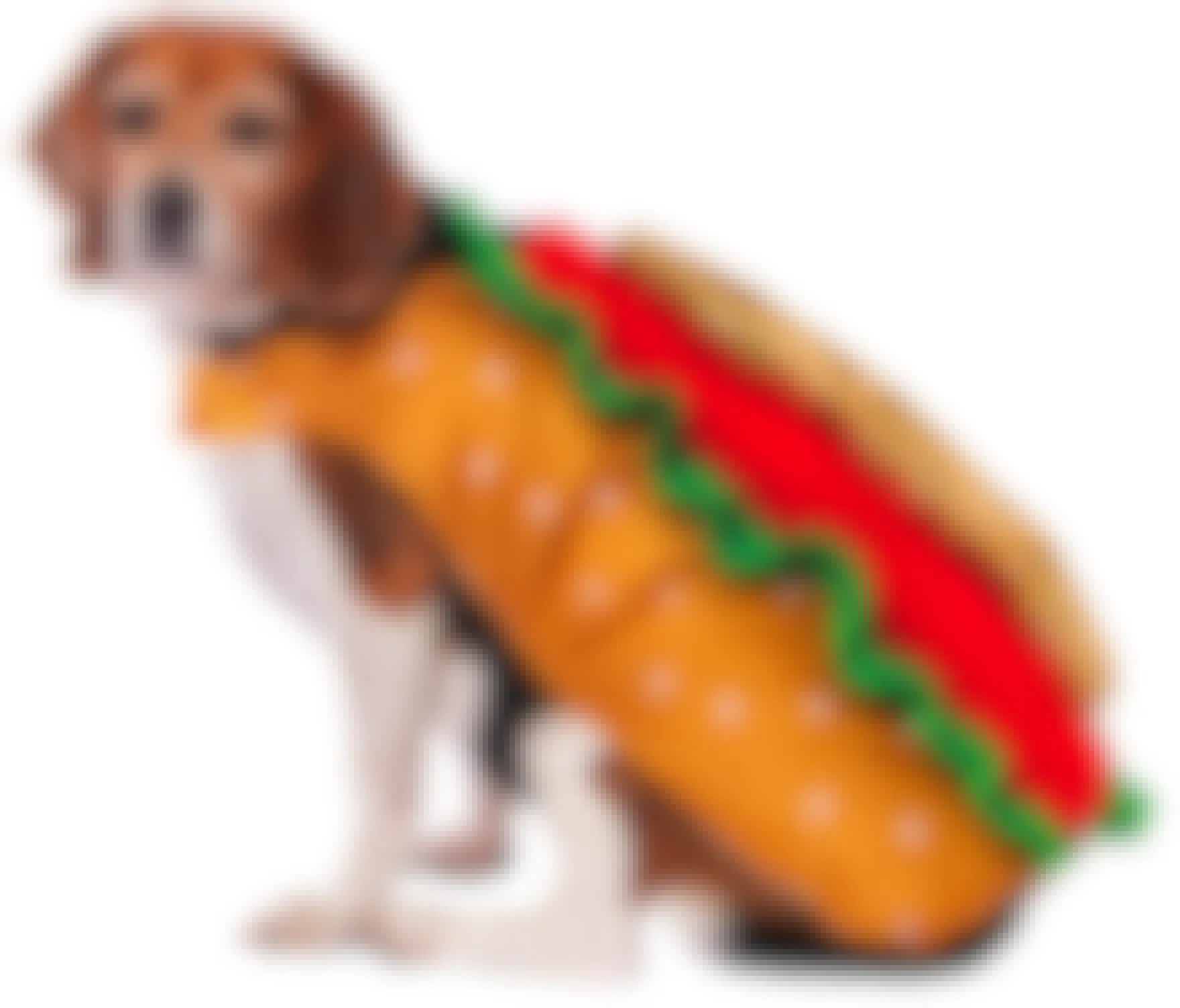 A dog wearing a hotdog costume on a white background