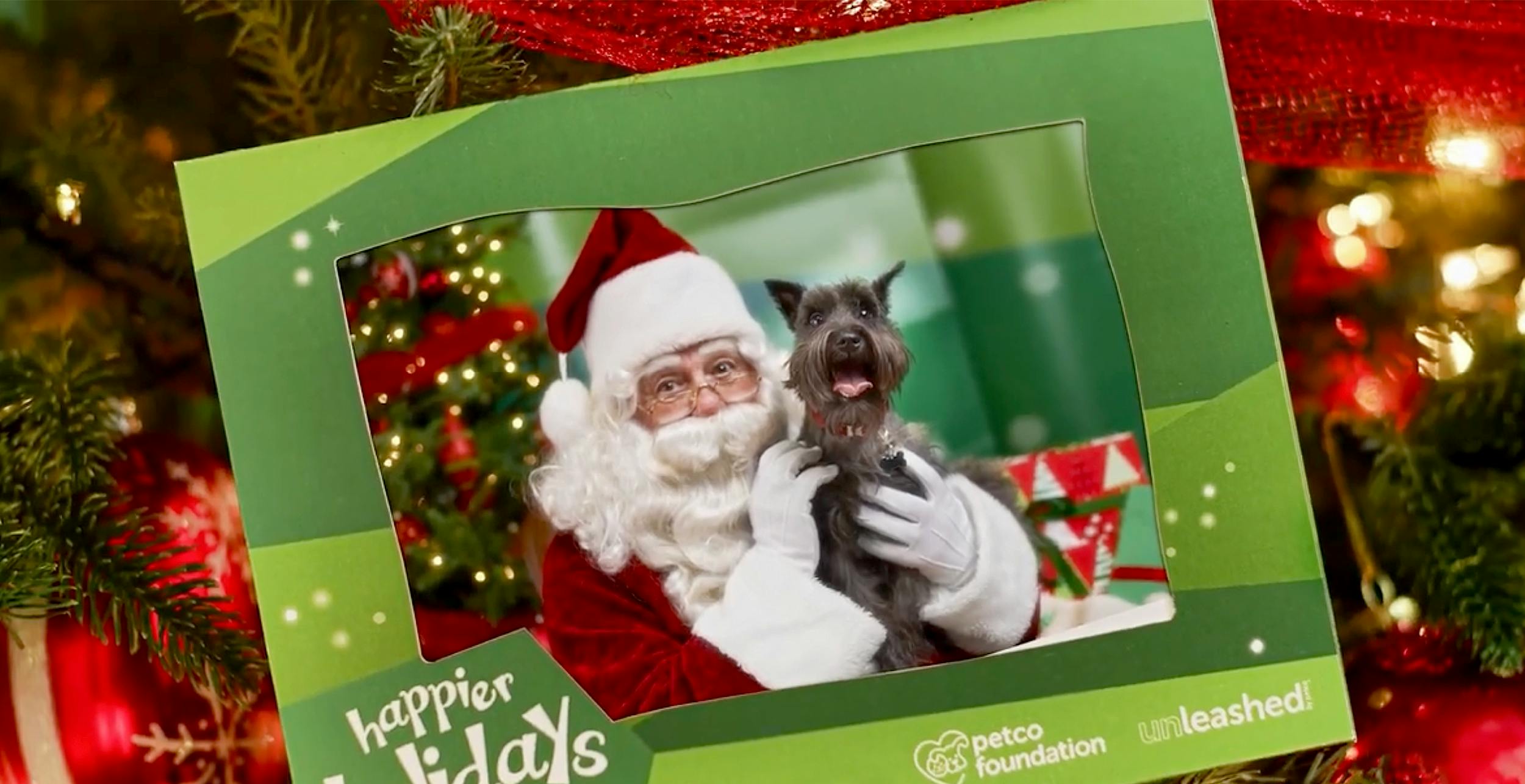 where can my dog take a picture with santa