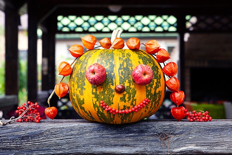 Pumpkin decorated with fruit and vegetables