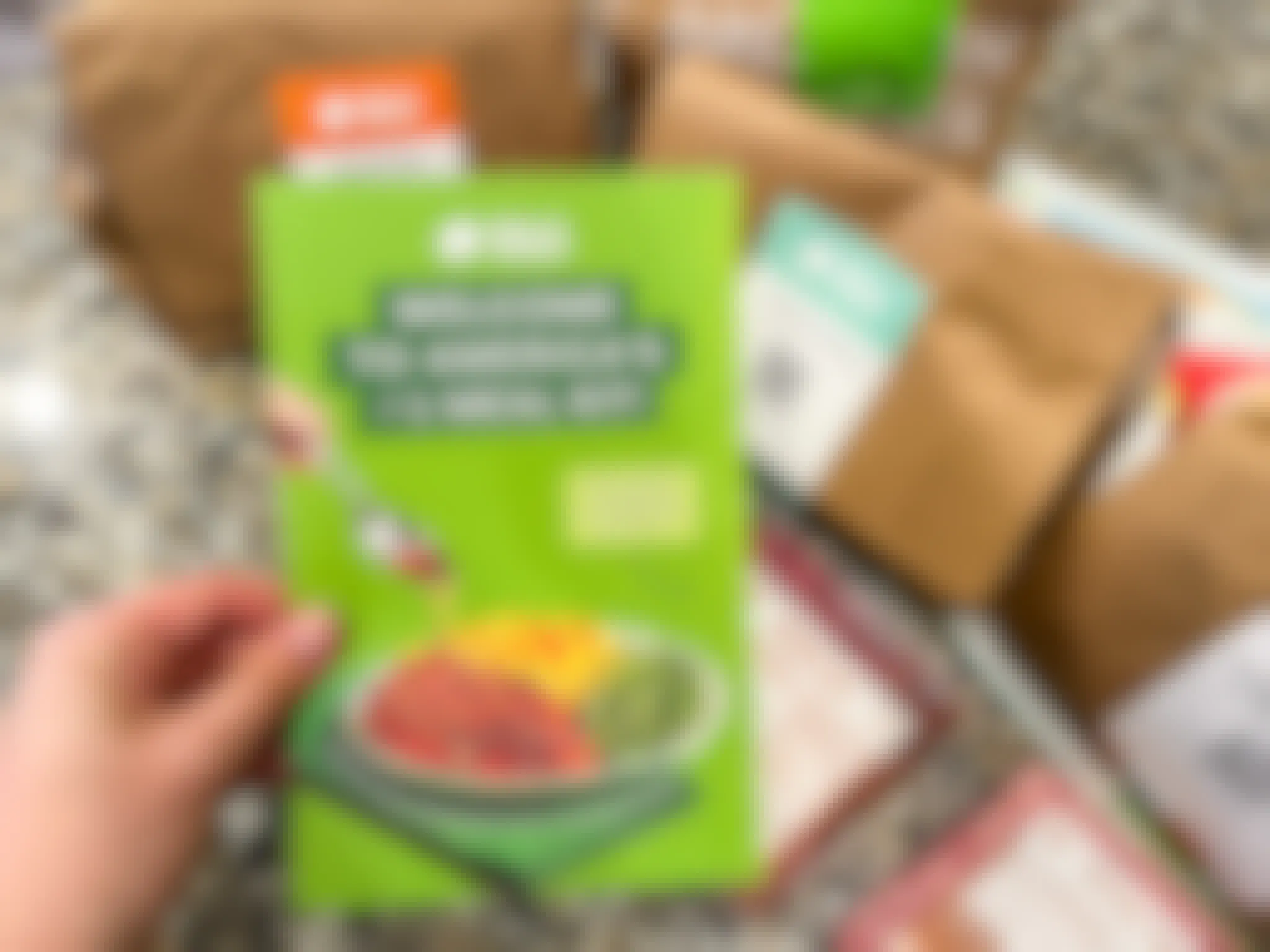 A bunch of HelloFresh bagged items laid out on the counter with a person holding up a Brochure for HelloFresh