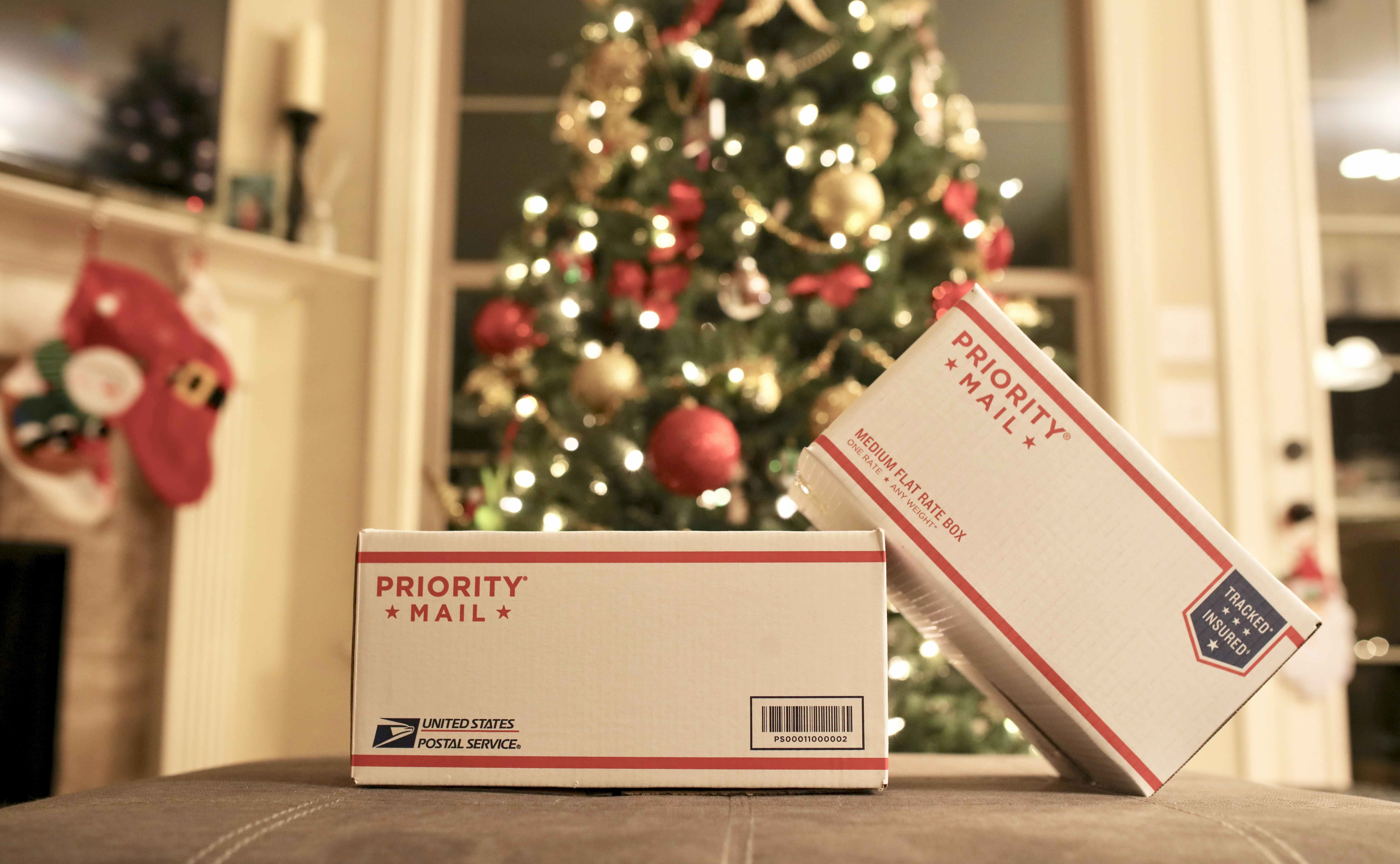 Two U.S. Post Office Priority Mail boxes in front of a Christmas tree.