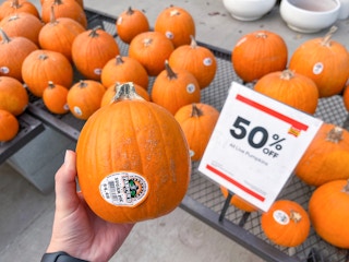 lowes pumpkins sale c 2022 1666877283 1666877283