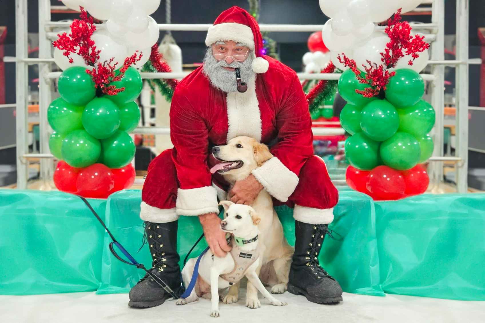 two dogs taking a photo with santa