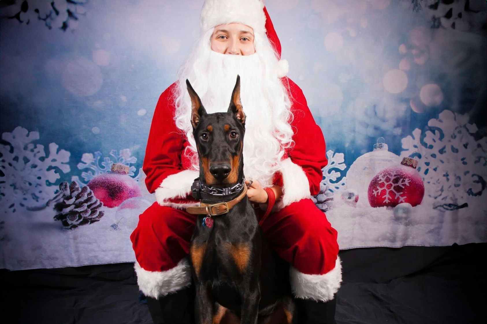 a dog taking a photo with santa