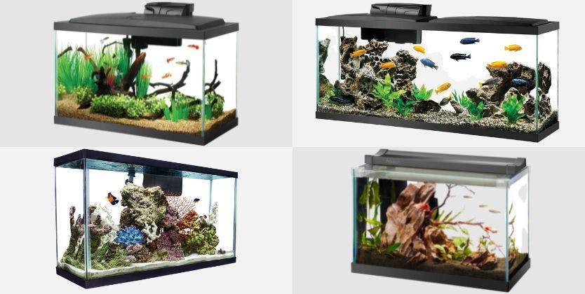 aquarium silicone petco