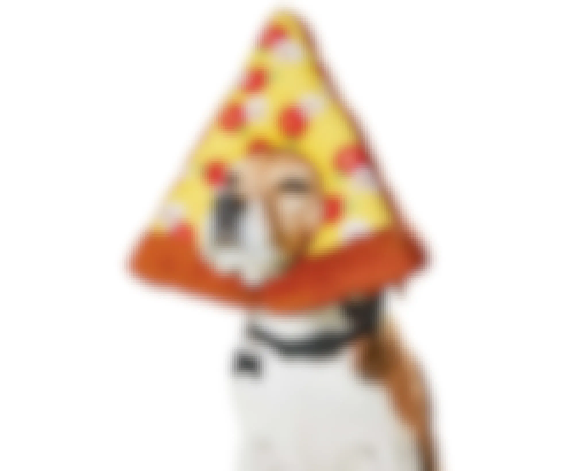 dog wearing a pizza headpiece costume
