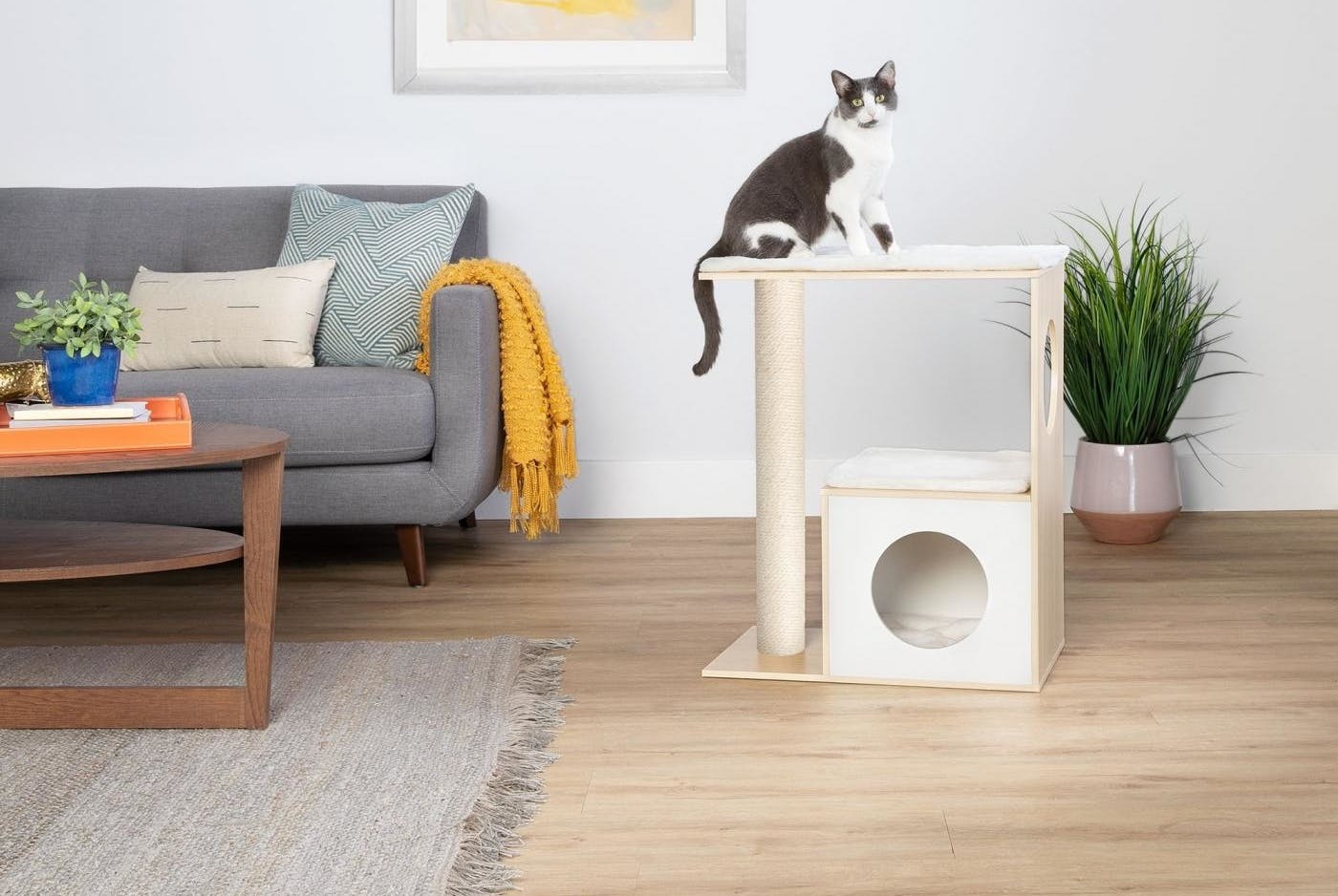 Whisker City Mini Cube Cat Tower, 67 Off at PetSmart The Krazy