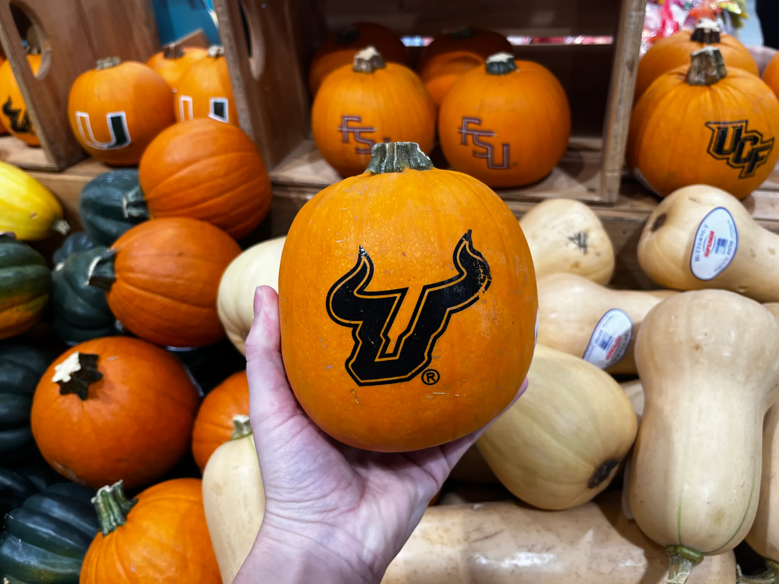 College Pumpkins, Only 6.99 at Publix The Krazy Coupon Lady